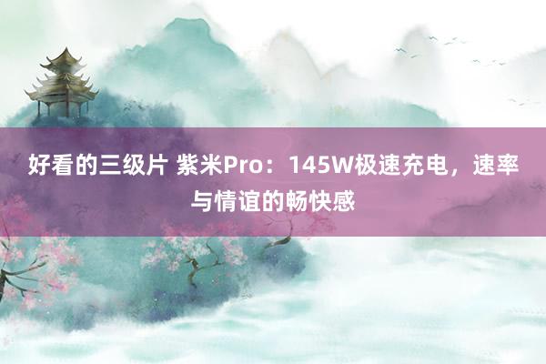 好看的三级片 紫米Pro：145W极速充电，速率与情谊的畅快感