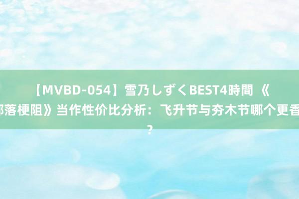 【MVBD-054】雪乃しずくBEST4時間 《部落梗阻》当作性价比分析：飞升节与夯木节哪个更香？