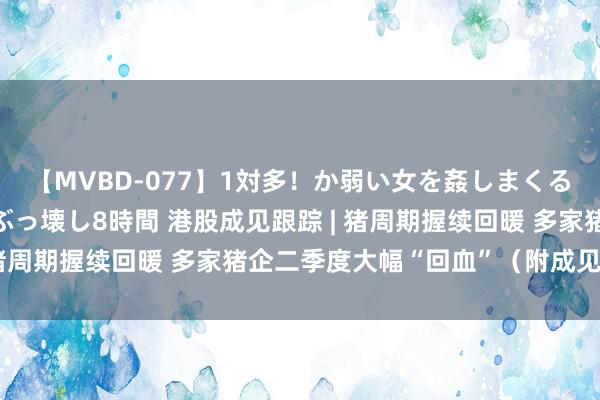 【MVBD-077】1対多！か弱い女を姦しまくる！輪姦の蟻地獄 発狂ぶっ壊し8時間 港股成见跟踪 | 猪周期握续回暖 多家猪企二季度大幅“回血”（附成见股）