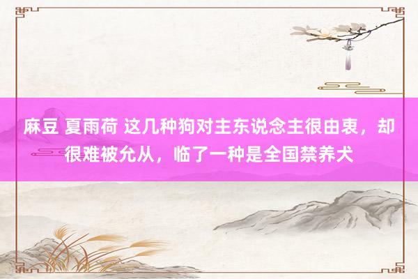 麻豆 夏雨荷 这几种狗对主东说念主很由衷，却很难被允从，临了一种是全国禁养犬