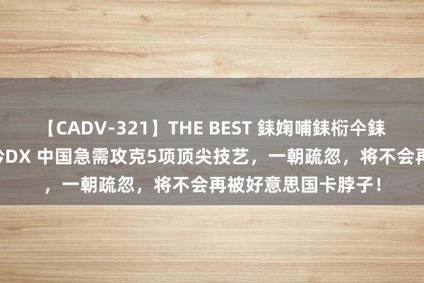 【CADV-321】THE BEST 銇婅哺銇椼仐銇俱仚銆?50浜?鏅傞枔DX 中国急需攻克5项顶尖技艺，一朝疏忽，将不会再被好意思国卡脖子！
