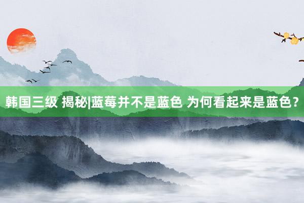 韩国三级 揭秘|蓝莓并不是蓝色 为何看起来是蓝色？