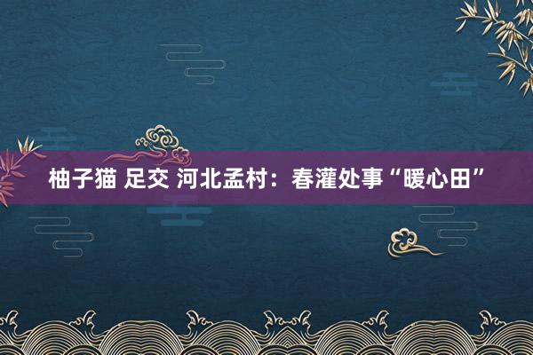 柚子猫 足交 河北孟村：春灌处事“暖心田”