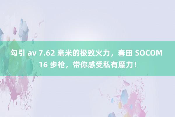勾引 av 7.62 毫米的极致火力，春田 SOCOM 16 步枪，带你感受私有