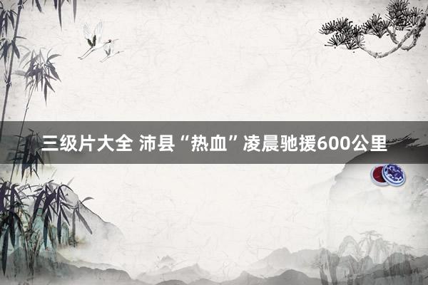 三级片大全 沛县“热血”凌晨驰援600公里
