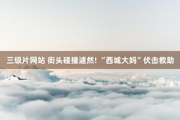 三级片网站 街头碰撞遽然! “西城大妈”伏击救助