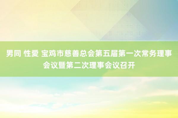 男同 性愛 宝鸡市慈善总会第五届第一次常务理事会议暨第二次理事会议召开