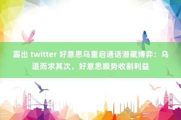 露出 twitter 好意思乌重启通话潜藏博弈：乌退而求其次，好意思顺势收割利益